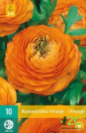 Karta - Pryskyřník - Ranunculus Orange (10 cibulí) 