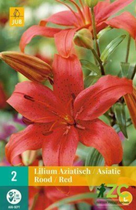 Karta - Lilie - Asiatic Red (2 cibule) 