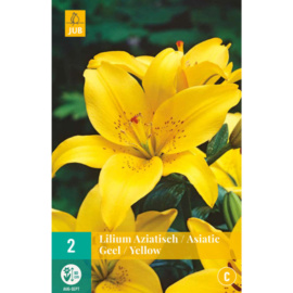 Karta - Lilie - Asiatic Yellow  (2 cibule) 