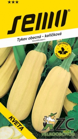 Tykev keříčková - KVETA  3g