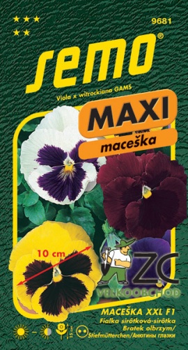 Maceška zahradní - XXL F1 15s