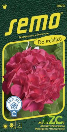 Pelargonie páskatá - EVA F1  11S / Muškát